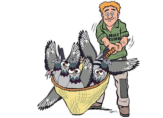 Verjagen van duiven: eind goed, al goed