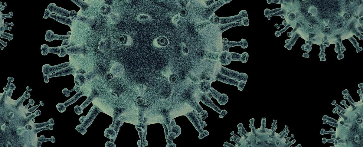 Onze ongediertebestrijders staan ook nu voor je klaar bij calamiteiten!