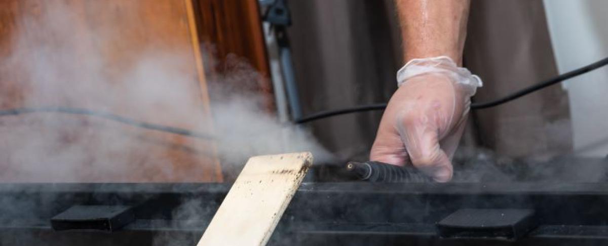 Wat te doen tegen bedwantsen?