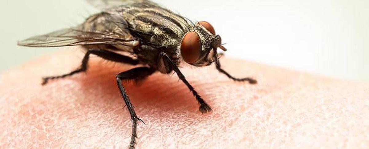 Alles over vliegen: hoeveel kun jij er tellen?!