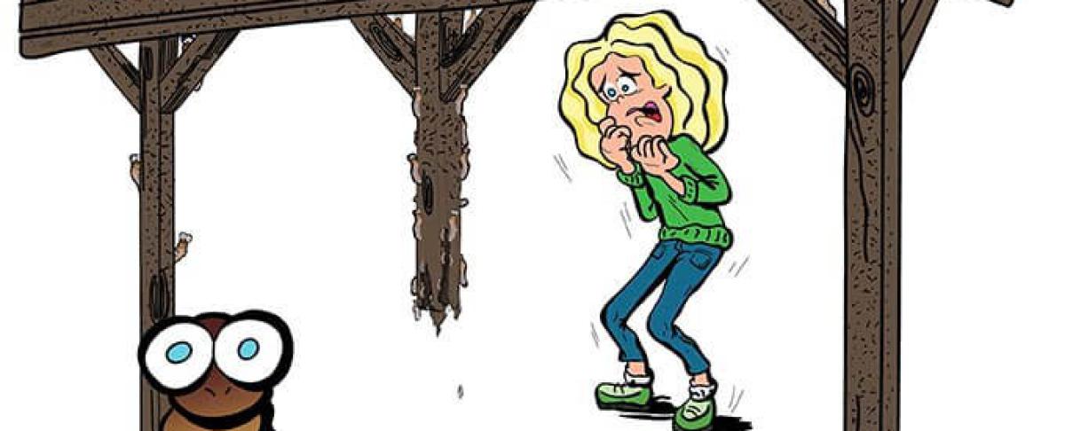 Houtworm: van probleem tot oplossing!