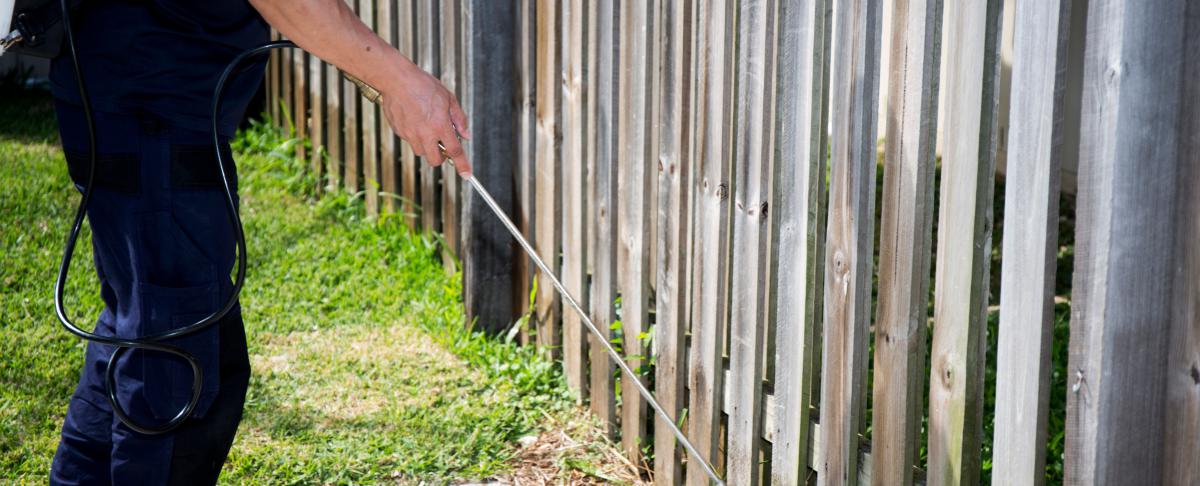 Welk mierengif werkt het beste?