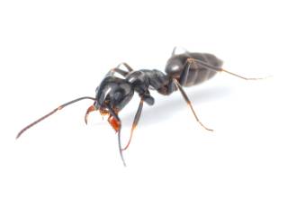 Mediterraan draaigatje gezien? Dit moet je doen!