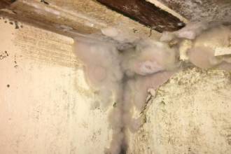 Nederland kent meer huizen met schimmel en zwamgroei