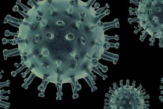 Onze ongediertebestrijders staan ook nu voor je klaar bij calamiteiten!