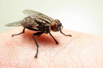 Alles over vliegen: hoeveel kun jij er tellen?!